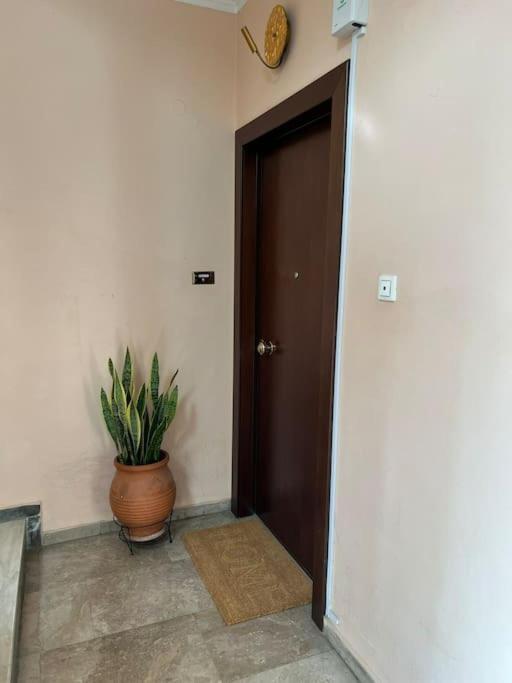 Myrto-Apartments-أثينا المظهر الخارجي الصورة